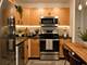 1660 N Lasalle Unit 3704, Chicago, IL 60614
