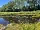 6850 W Winding Unit 202, Oak Forest, IL 60452