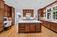 1852 W Wellington, Chicago, IL 60657