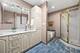 1 Maple Tree, Elmhurst, IL 60126