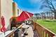 1 Maple Tree, Elmhurst, IL 60126