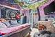 28616 W Benjamin, Spring Grove, IL 60081