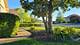 53 Odyssey, Tinley Park, IL 60477