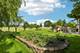 308 S Knollwood, Schaumburg, IL 60193