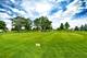 21017 W Hazelnut, Plainfield, IL 60544