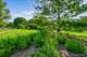 1021 Colony, Crystal Lake, IL 60014
