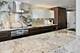 161 E Chicago Unit 49A, Chicago, IL 60611