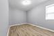 1539 S Christiana, Chicago, IL 60623