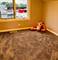 246 E 161st, South Holland, IL 60473