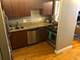 474 N Lake Shore Unit 5109, Chicago, IL 60611