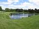 22276 Elise, Frankfort, IL 60423