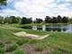 22276 Elise, Frankfort, IL 60423