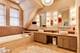 1919 S Prairie Unit 3, Chicago, IL 60616