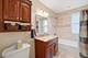 3808 N Ridgeway, Chicago, IL 60618