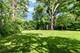 915 N Pine, Arlington Heights, IL 60004