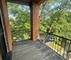 6800 S Dante Unit 3, Chicago, IL 60637
