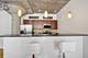 1070 W 15th Unit 203, Chicago, IL 60608