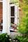 1214 Ridgewood, Vernon Hills, IL 60061