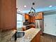 3614 N Bosworth Unit 2F, Chicago, IL 60613