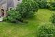 1052 Schonback, Batavia, IL 60510