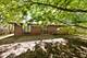 1419 Brush Hill, Naperville, IL 60540