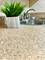 9001 Golf Unit 2I, Des Plaines, IL 60016