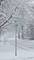 611 Oakwood, Geneva, IL 60134