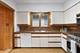 6705 N Olympia, Chicago, IL 60631