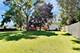 479 N Elm, Elmhurst, IL 60126