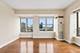 1717 S Prairie Unit 2206, Chicago, IL 60616