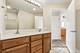 1717 S Prairie Unit 2206, Chicago, IL 60616