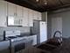 1550 S Blue Island Unit 808, Chicago, IL 60608
