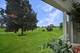 1564 White Eagle, Naperville, IL 60564