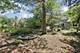 1025 Longford, Westmont, IL 60559