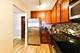 350 W Belden Unit 511, Chicago, IL 60614