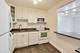 10 E Ontario Unit 1303, Chicago, IL 60611