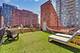 300 W Grand Unit 304, Chicago, IL 60610