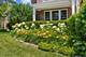 2142 Harrison, Glenview, IL 60025