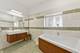 1215 E Madison Park Unit 3, Chicago, IL 60615