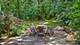 426 W Haley's Hill, Palatine, IL 60067