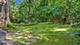 426 W Haley's Hill, Palatine, IL 60067