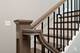 246 Holmes, Clarendon Hills, IL 60514