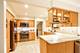 725 Augusta, Elgin, IL 60120