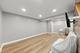 1748 Bucknell, Naperville, IL 60565