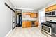 1301 S Christiana, Chicago, IL 60623