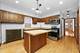 4128 W School Unit 1, Chicago, IL 60641