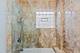 4105 S Drexel Unit 1SR, Chicago, IL 60653