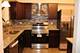 19561 Lake Shore Unit 1S, Lynwood, IL 60411