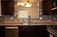 19561 Lake Shore Unit 1S, Lynwood, IL 60411