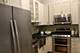 1727 S Indiana Unit 212, Chicago, IL 60616